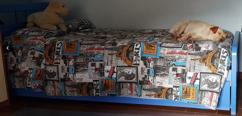 Letto singolo con rete - letto,